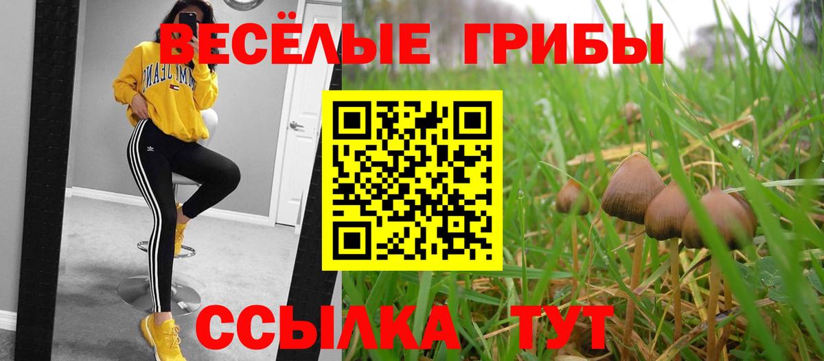 Галлюциногенные грибы GOLDEN TEACHER Кимовск